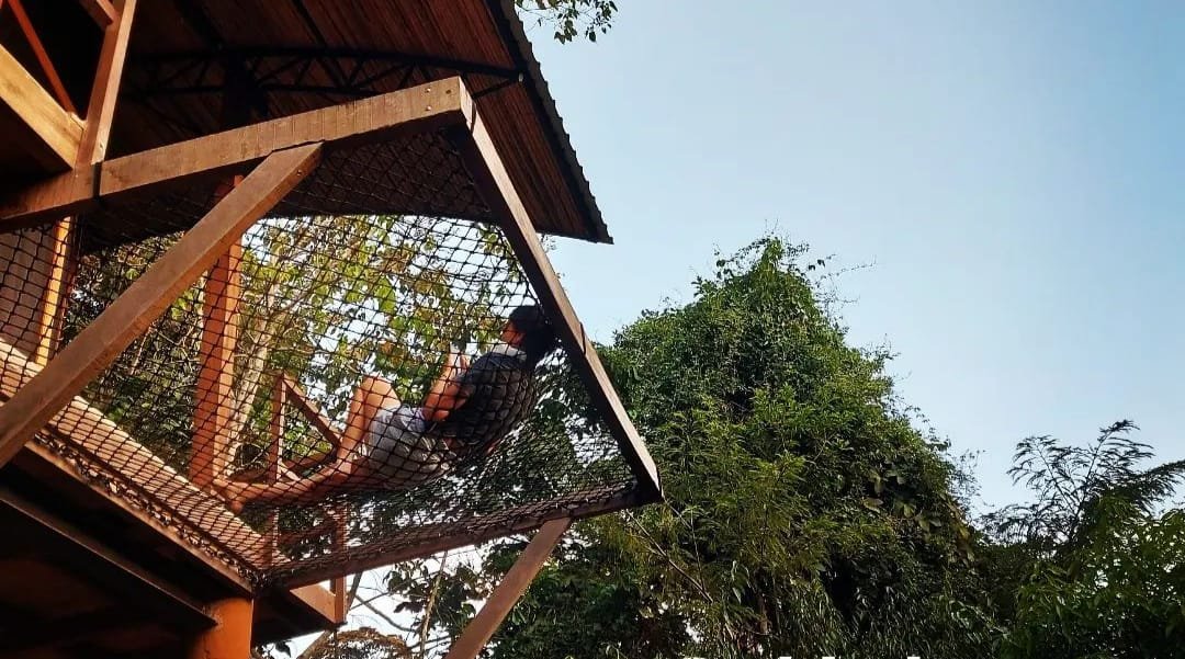Exclusividad natural: Venta de lodge rodeado de árboles y río en Tarapoto